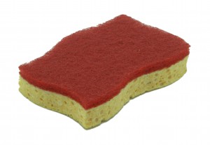 sponge