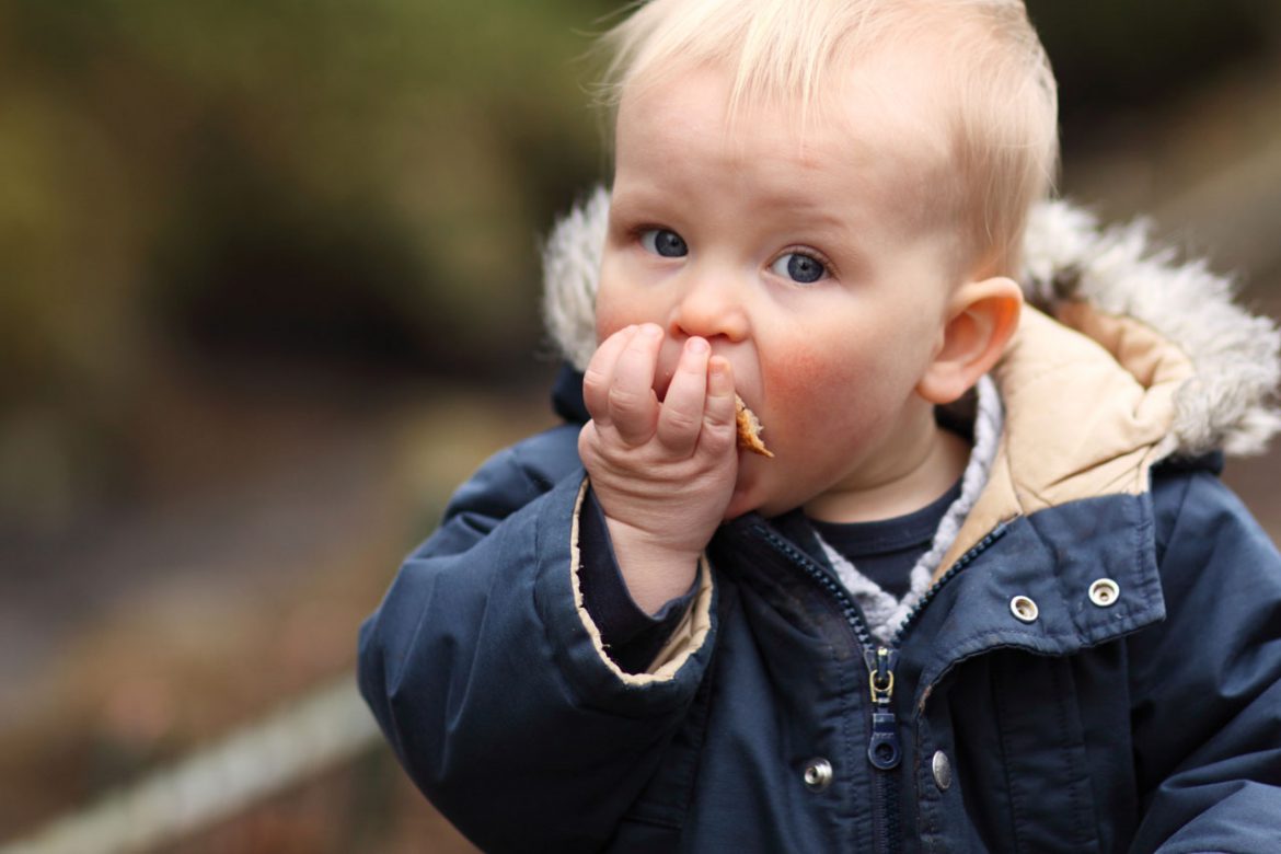 Comer dos Tipos de Alimentos como Refuerzo – Online Parent Training in ...